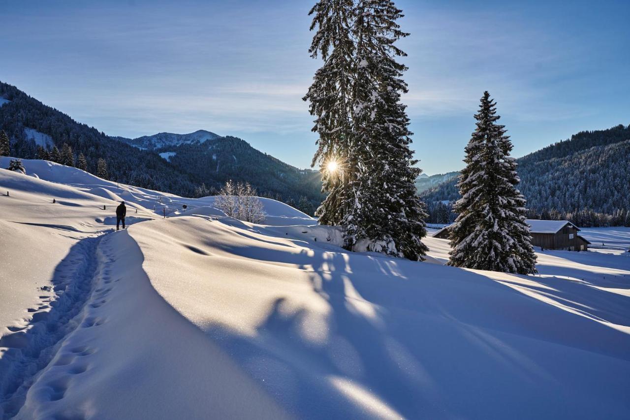 Hubertus Mountain Refugio Allgaeu Balderschwang Exteriér fotografie