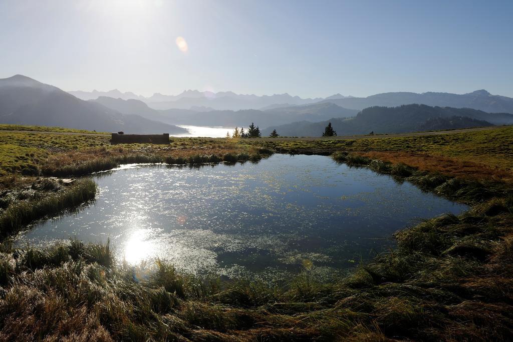 Hubertus Mountain Refugio Allgaeu Balderschwang Exteriér fotografie